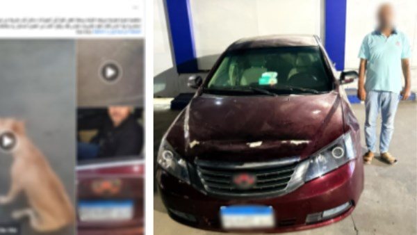 لعقره عمه.. ضبط سائق ربط كلب بسيارته وسحله في الإسكندرية