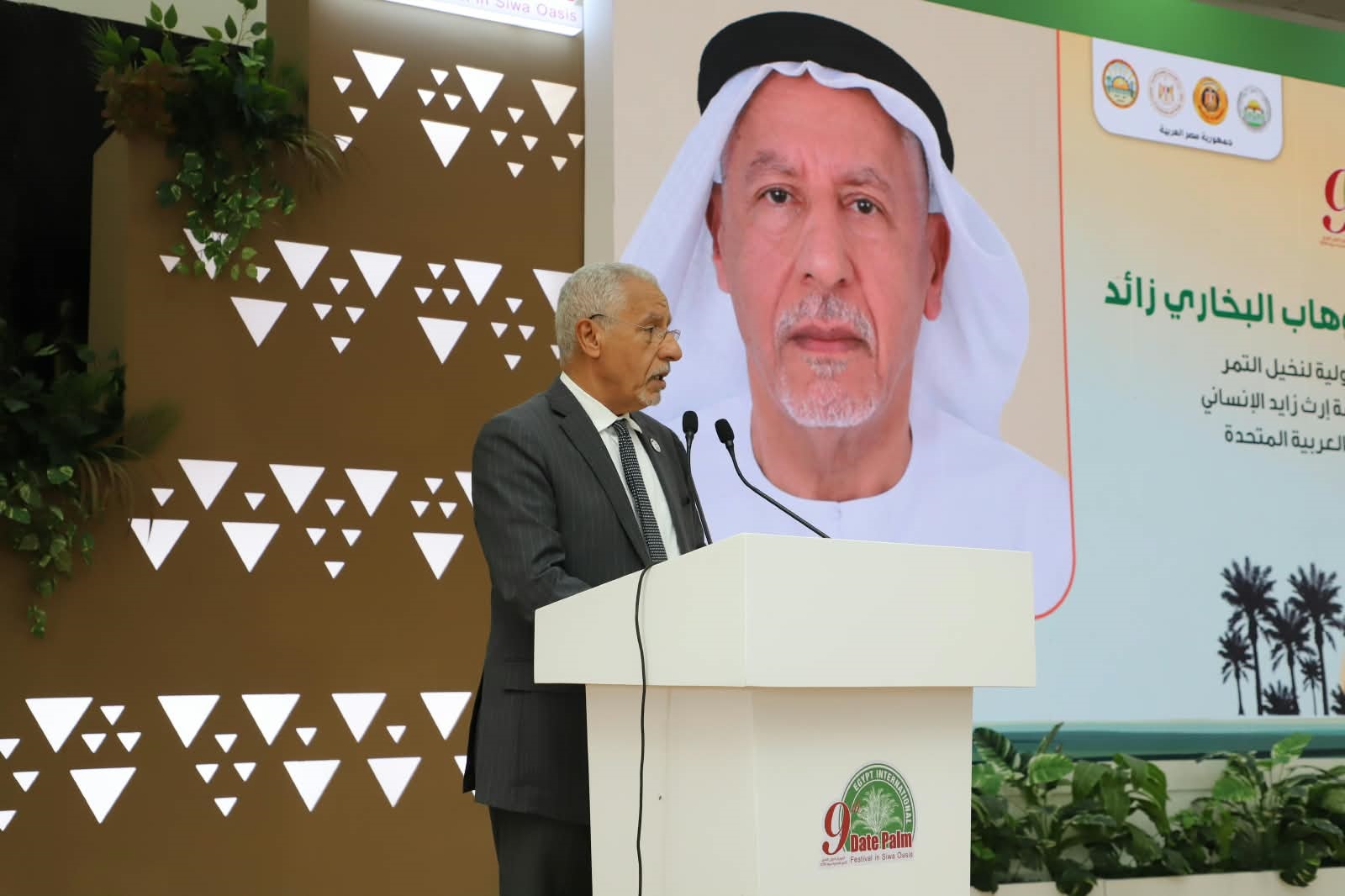 عبد الوهاب زائد : زراعة النخيل وإنتاج التمور تحظى بأهمية متزايدة فى مصر