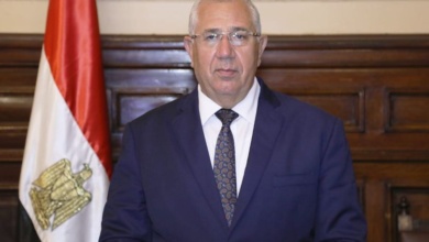 زيادة صادرات مصر الزراعية