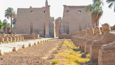 وزير التنمية المحلية يطالب بالعمل 24 ساعة