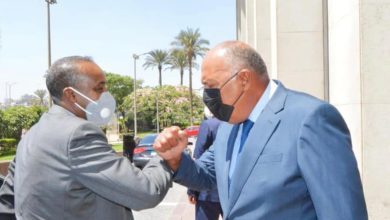 تفاصيل لقاء سامح شكري برئيس وزراء الصومال في القاهرة