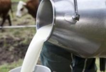 مراكز تجميع الألبان