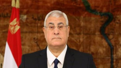 تعيين المستشار عدلي منصور في منصب جديد