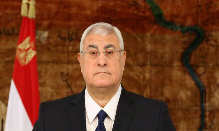تعيين المستشار عدلي منصور في منصب جديد