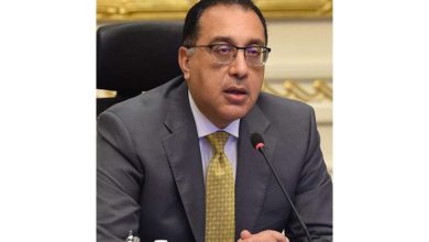 كفاءة وقدرة.. رئيس الوزراء يشيد بالشركات المصرية (لهذا السبب)