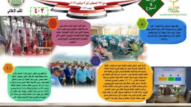 توزيع 19 ألف رأس ماشية لصغار المربين وشباب الخريجين.. تعرف على حصاد وزارة الزراعة خلال 6أيام