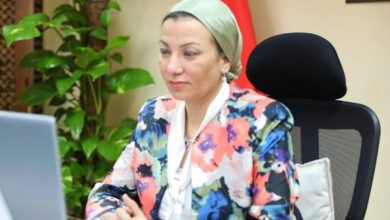 اجتماع الشراكة البيئية الأفريقية