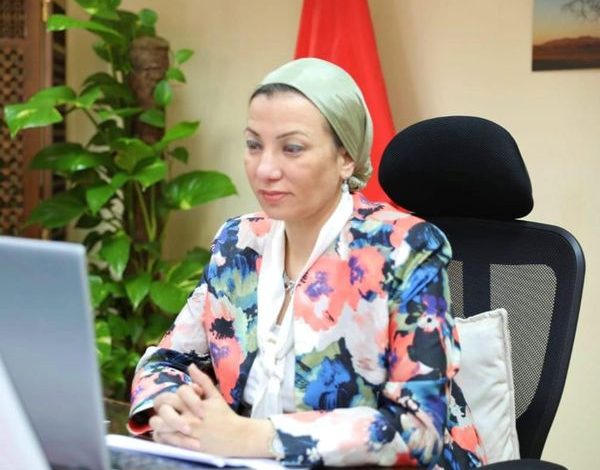اجتماع الشراكة البيئية الأفريقية