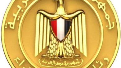 أبرزها سك عملة معدنية فئة الـ100جنية..تعرف على قرارات الحكومة اليوم