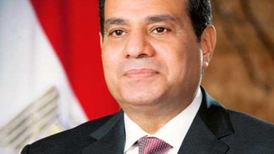 "زواج بقرار جمهوري" السيسي يوافق على زواج شخصية سيادية من جنسية عربية