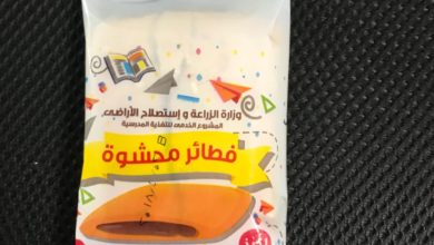 تعرف على موعد توزيع الوجبات المدرسية على الطلاب