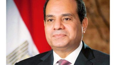 السيسي: مصر حريصة على الإستفادة من الخبرات المجرية