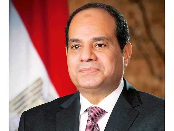 السيسي: مصر حريصة على الإستفادة من الخبرات المجرية