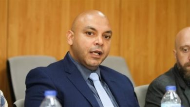 محمود القط: بعض الأطراف تحاول عرقلة الاستقرار في ليبياوالدور المصري مستمر.. فيديو