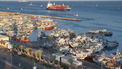 بسبب سرعة الرياح وارتفاع الأمواج.. إغلاق ميناء البرلس لليوم الثاني على التوالي