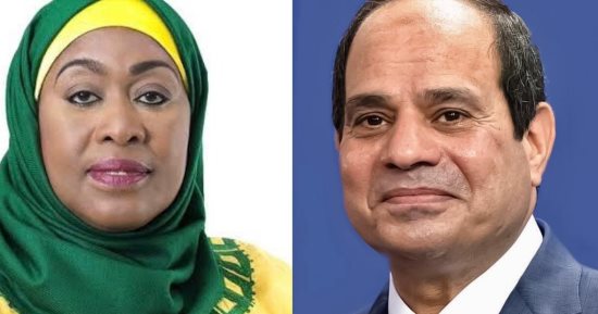 بقصر الاتحادية.. السيسي يستقبل رئيسة جمهورية تنزانيا