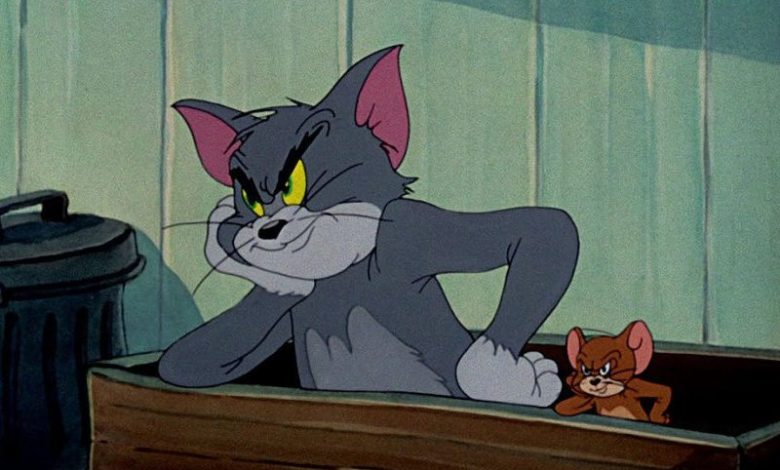 مطاردة حقيقية بين قط وفار