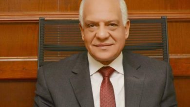 محافظ الجيزة: مهرجان التمور الأول بالواحات البحرية يستمر كل عام بمشاركة دولية.. فيديو