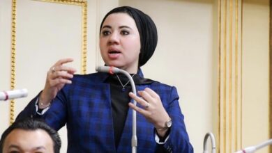 النائبة اميرة صابر
