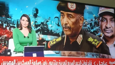 قوات الدعم السريع السودانية