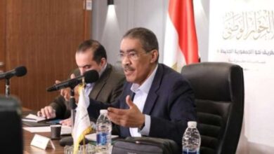 ضياء رشوان