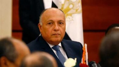 سامح شكرى