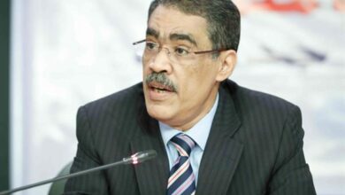 الكاتب الصحفي ضياء رشوان