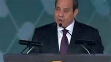 السيسي