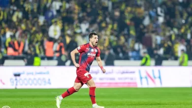 طارق حامد