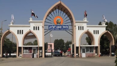 جامعة جنوب الوادى