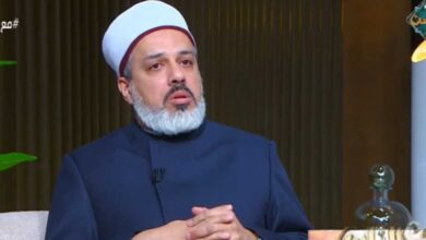 أمين الفتوى