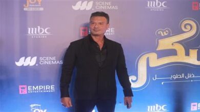 عباس أبو الحسن