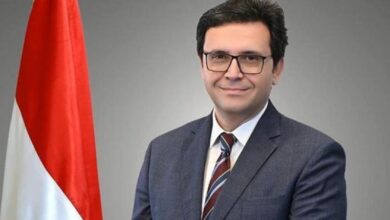 وزير الثقافة الدكتور أحمد فؤاد