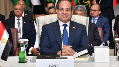 الرئيس السيسى