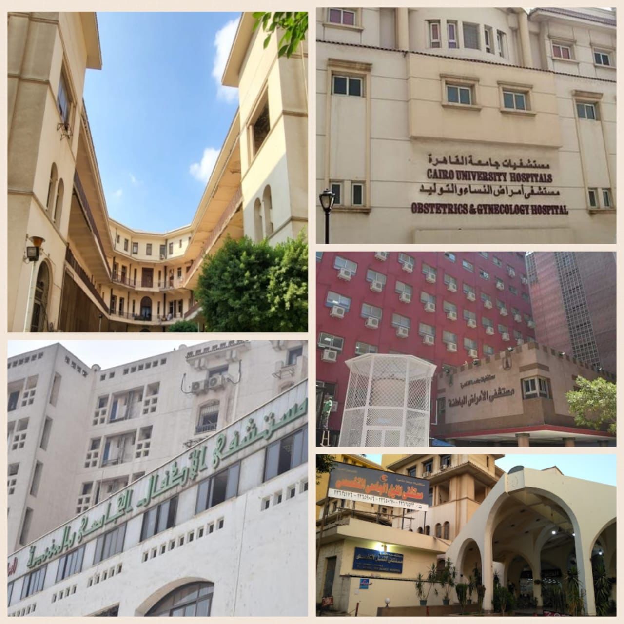 رئيس جامعة القاهرة يتلقى تقريرا حول مؤشر أداء مستشفيات قصر العيني