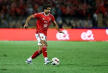 محمد هانى