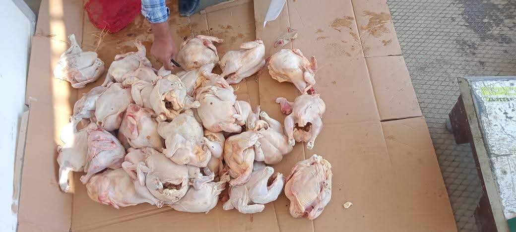 ضبط 178 كيلو لحوم ودواجن غير صالحة للاستهلاك الآدمي بمدينة أسيوط الجديدة