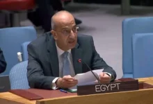 مندوب مصر لدى مجلس الأمن