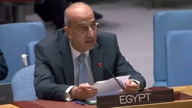 مندوب مصر لدى مجلس الأمن