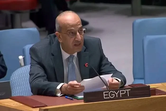 مندوب مصر لدى مجلس الأمن