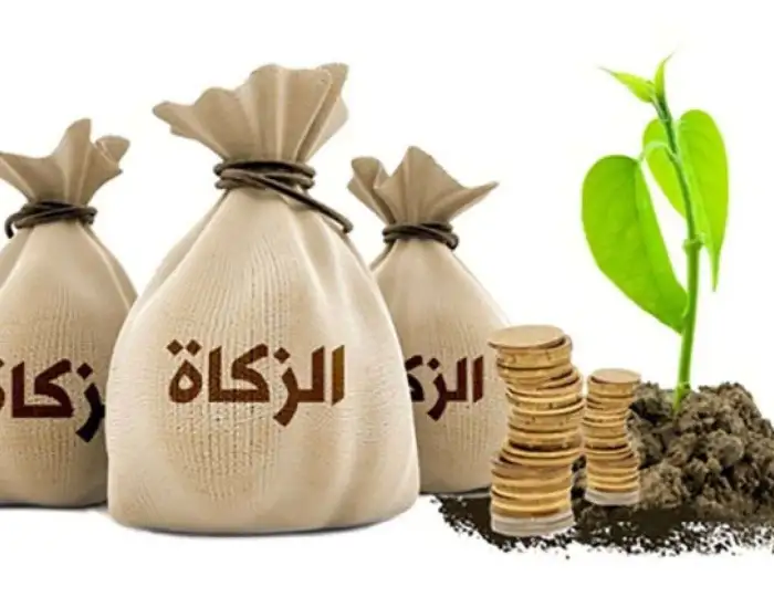 هل على ذهب الزينة زكاة؟.. أمين الفتوى يجيب