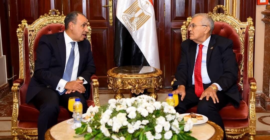 وزير الخارجية يلتقي رئيس مجلس الشيوخ
