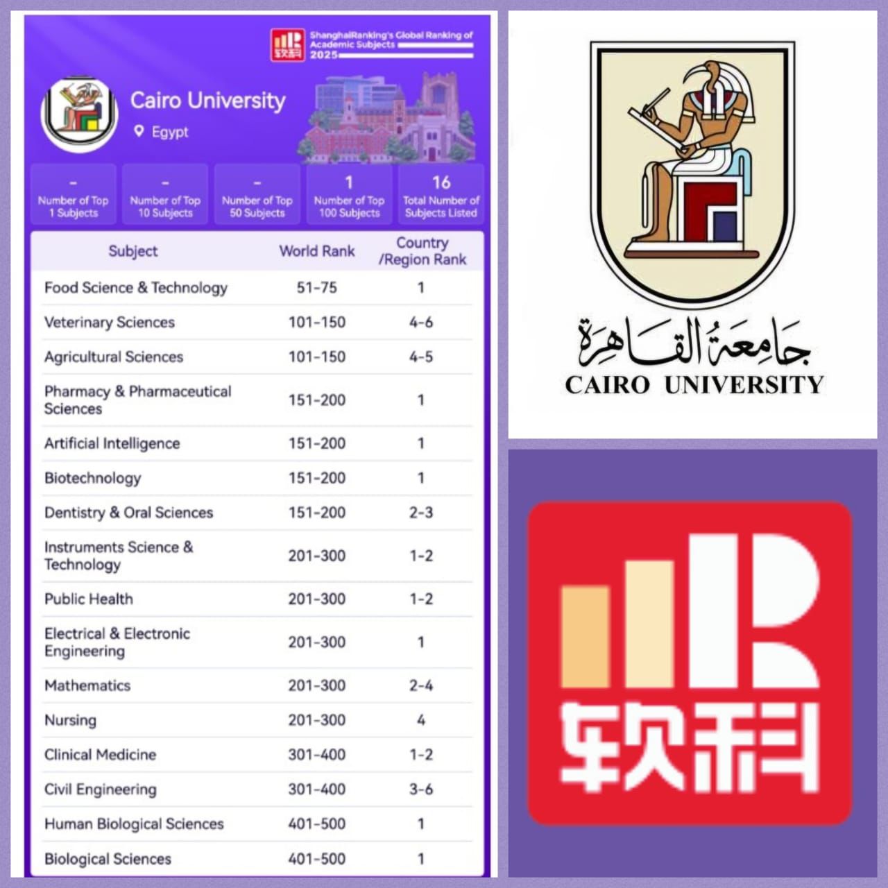 جامعة القاهرة ضمن الأفضل عالميًا في 16 تخصصًا وفق تصنيف شنغهاي