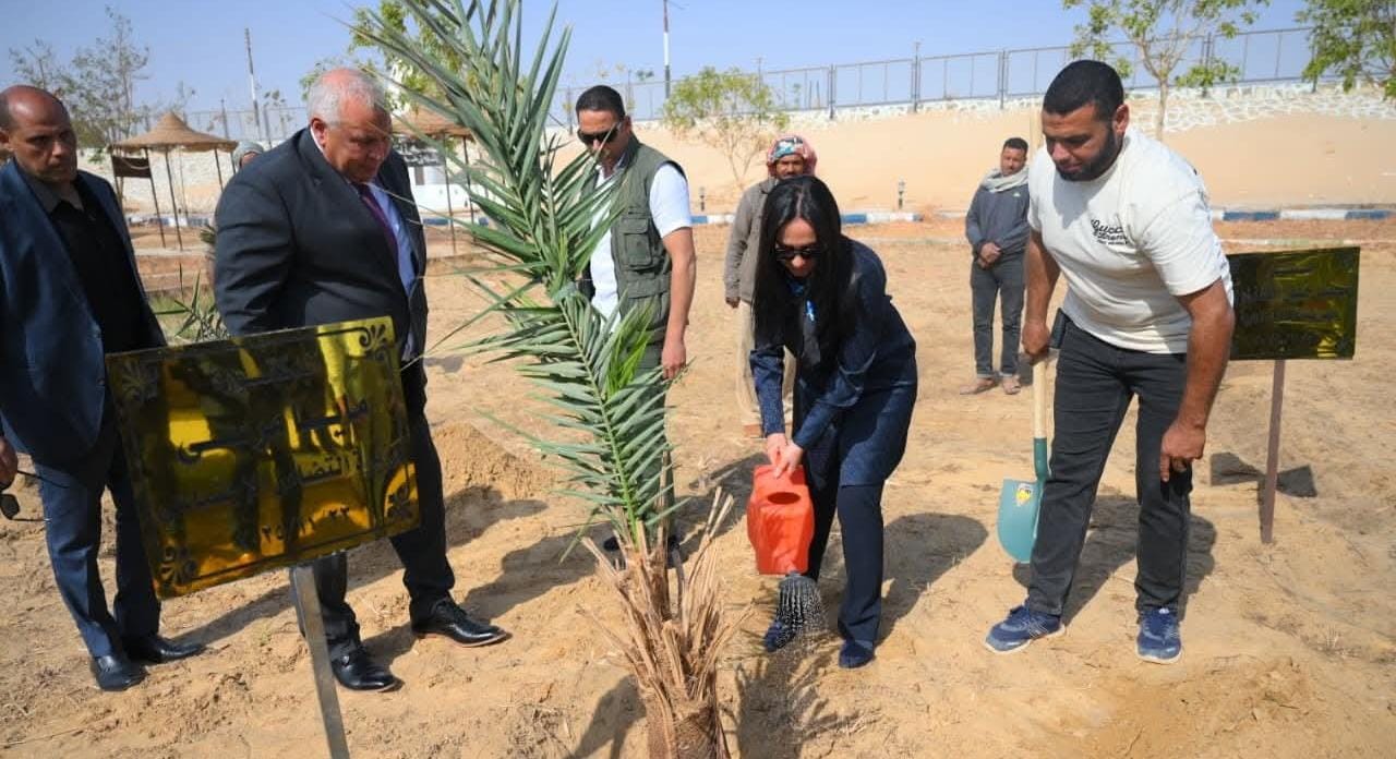 وزيرة التضامن تغرس نخلة في حديقة 30 يونيو بالوادي الجديد