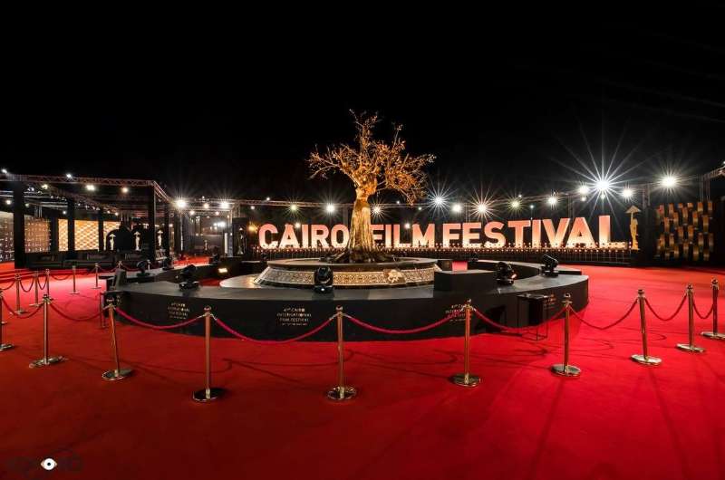مهرجان القاهرة السينمائي .. القائمة الكاملة للفائزين بالجوائز