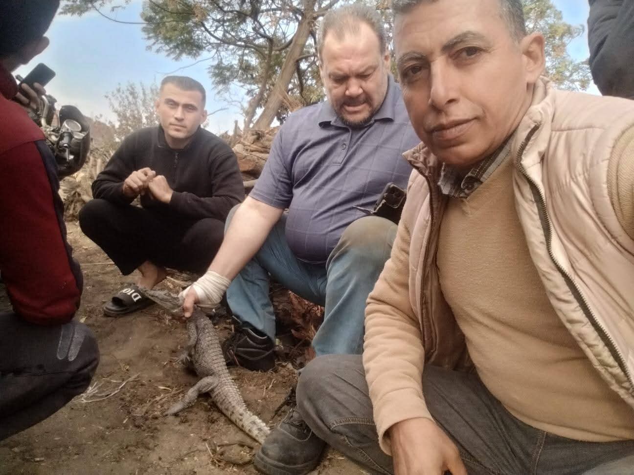 شاهد بالصور.. اصطياد تمساح قرية الزوامل بالشرقية بعد 6 أيام من البحث