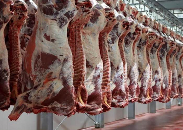 نقيب الفلاحين: الاكتفاء الذاتي من اللحوم ارتفع 15% خلال آخر 5 سنوات