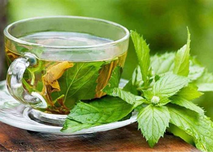 مشروب صحي ولكن.. متى يتحول الشاي الأخضر إلى خطر؟