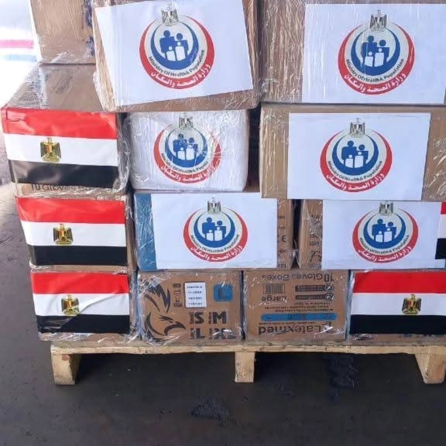 مصر ترسل قافلة طبية نوعية ومستلزمات علاجية وأدوية إلى السودان