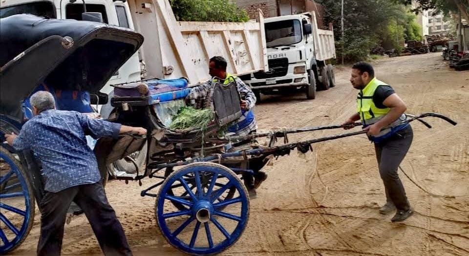 إستمرار حملات التحفظ على عربات الحنطور المخالفة في مدينة الأقصر